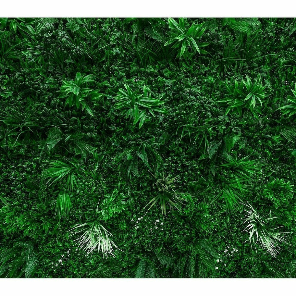 Papel De Parede Personalizado Jardim Folhas Papel De Parede Personalizado Jardim Folhas