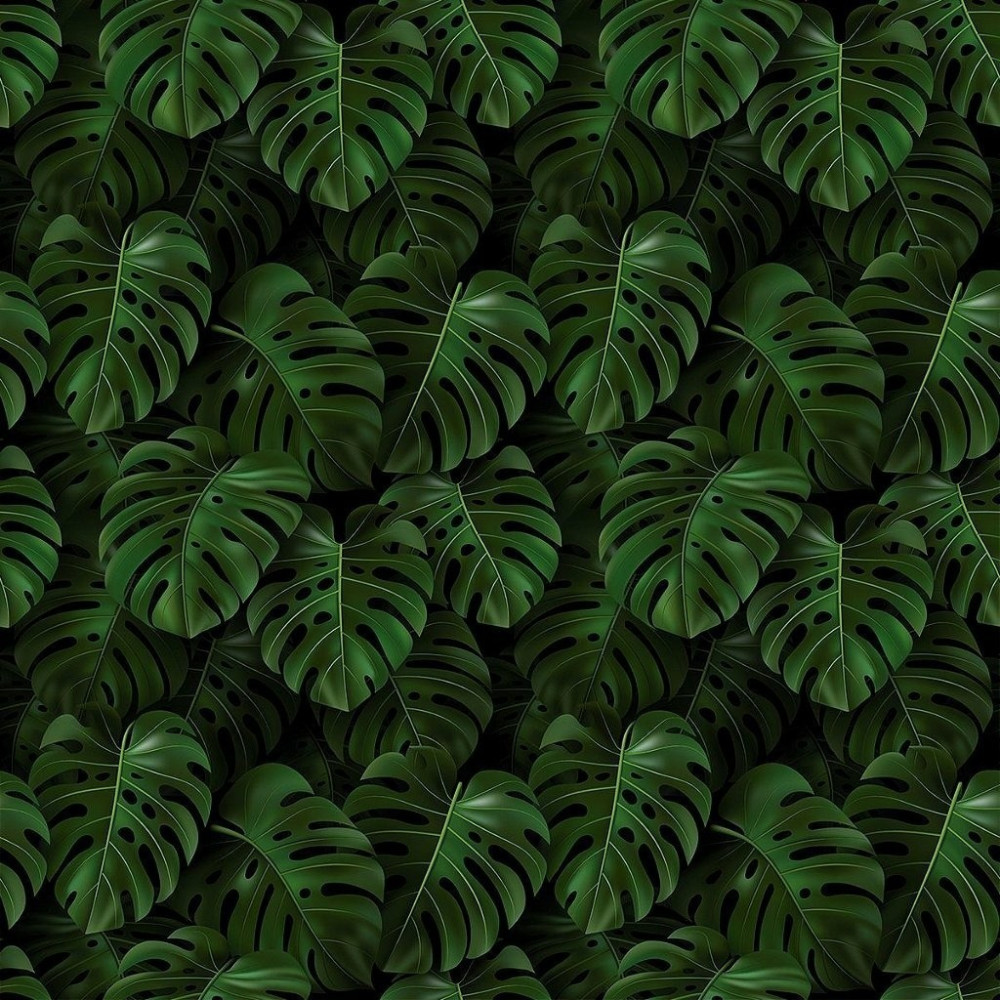 Papel de Parede Personalizado Costela de Adão Verde Papel de Parede Personalizado Costela de Adão Verde