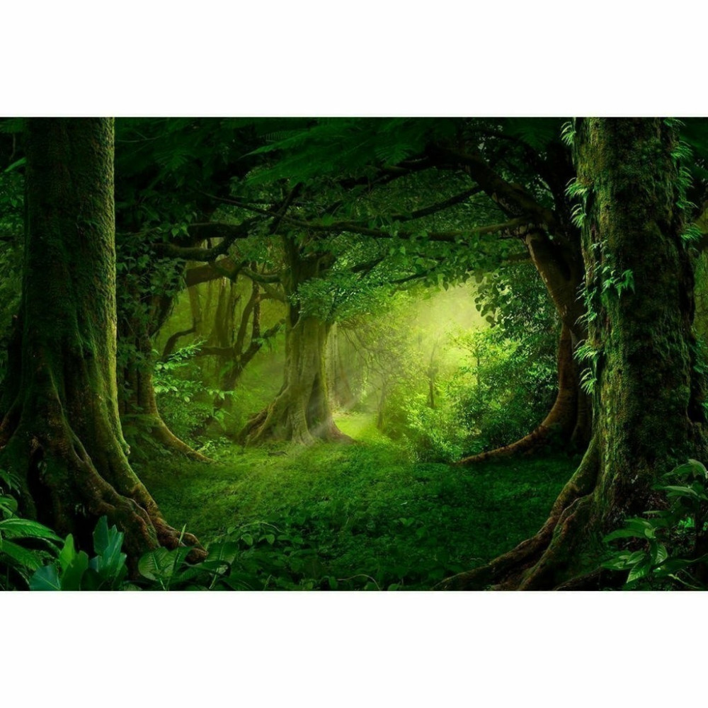 Papel de Parede Personalizado Floresta 3D