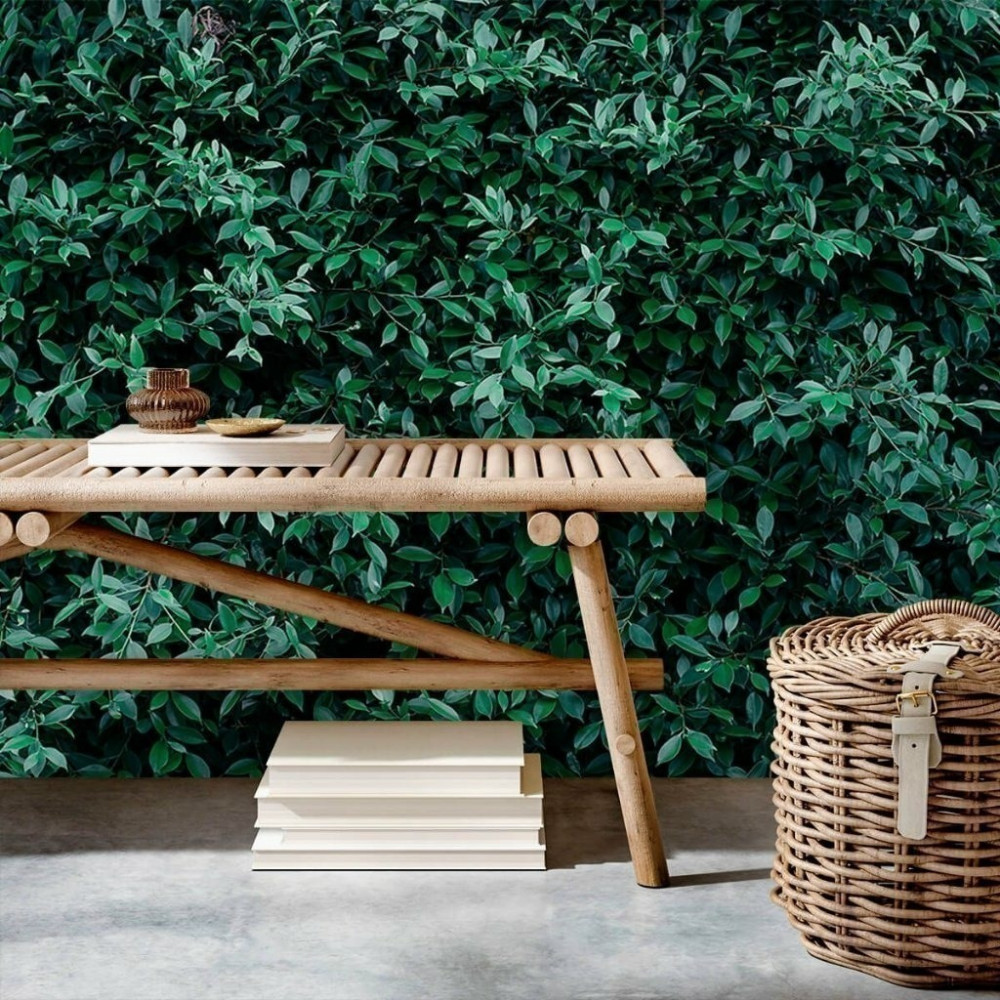 Papel De Parede Personalizado Jardim Vertical Folhas Papel De Parede Personalizado Jardim Vertical Folhas
