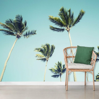 Papel de Parede Personalizado Coqueiros Califórnia