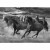 Papel De Parede Personalizado Cavalos P&B