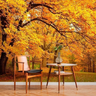 Papel de Parede Personalizado Folhas de Outono