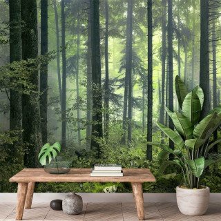 Papel de Parede Personalizado Bosque