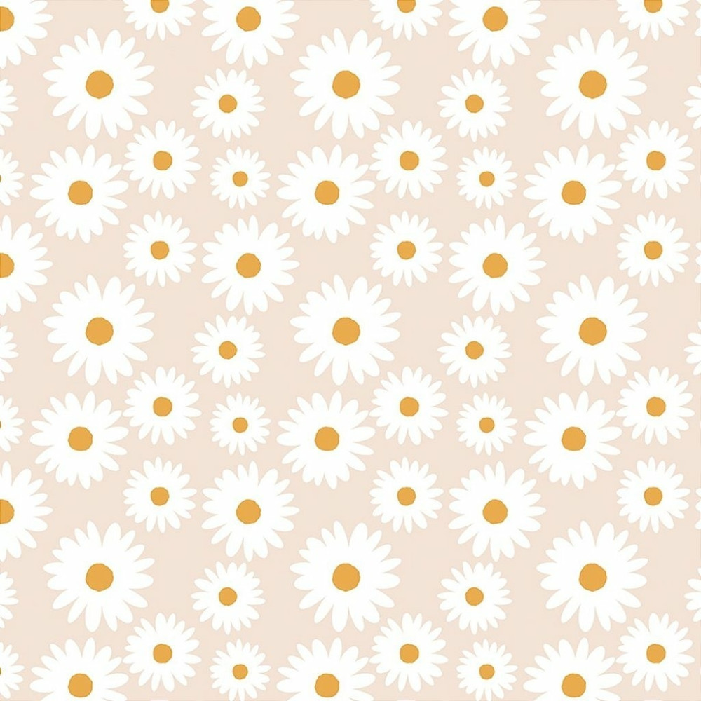 Papel De Parede Personalizado Margaridas Tons Pastéis