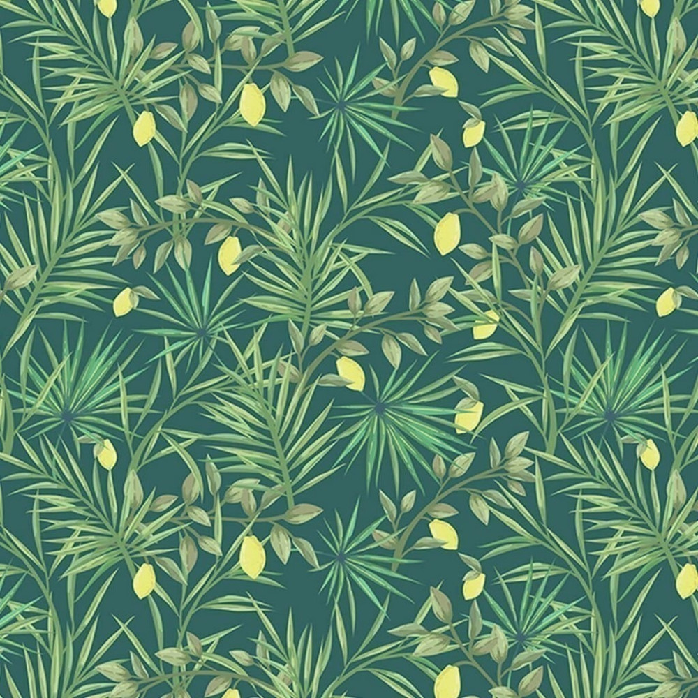 Papel De Parede Personalizado Limoeiro Papel De Parede Personalizado Limoeiro