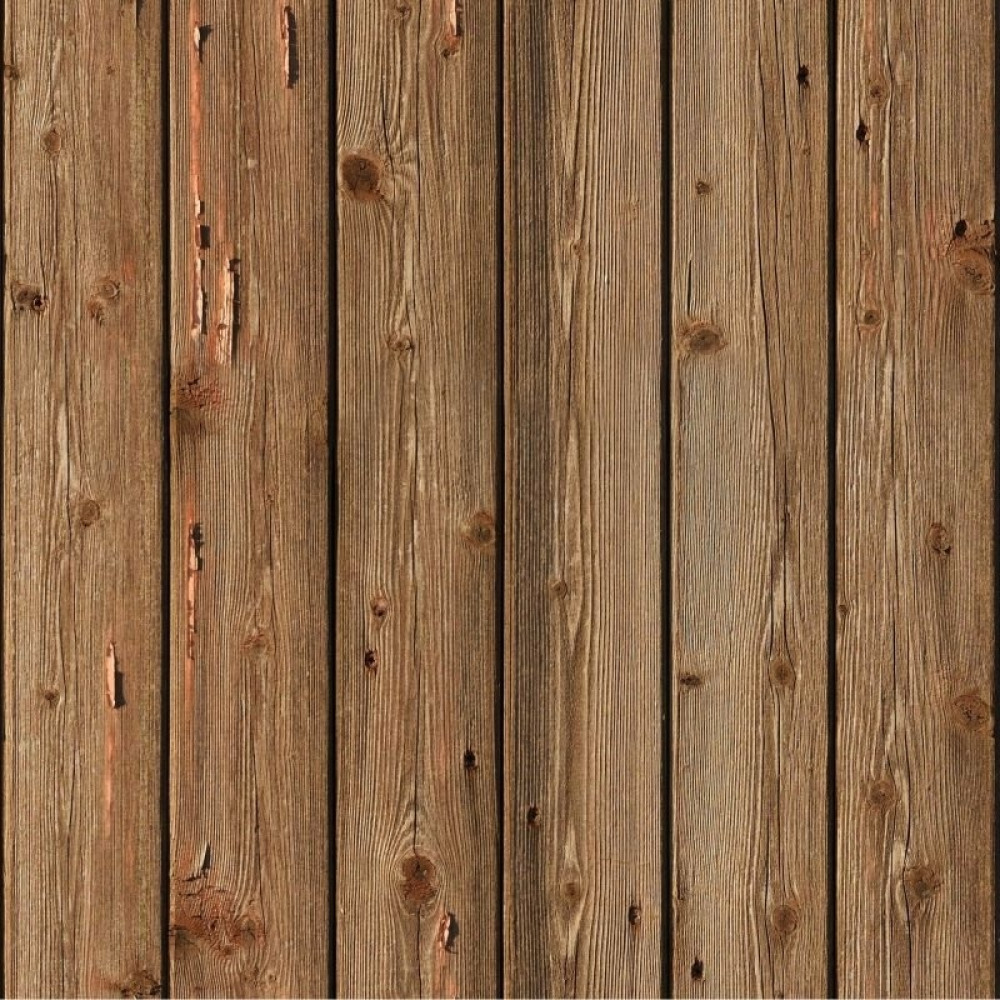 Papel de Parede Madeira Bétula Papel de Parede Madeira Bétula