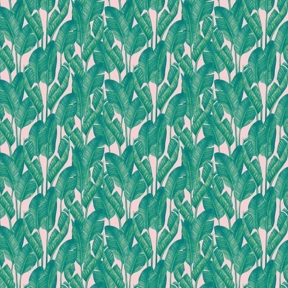 Papel De Parede Personalizado Folhas De Bananeira Verde