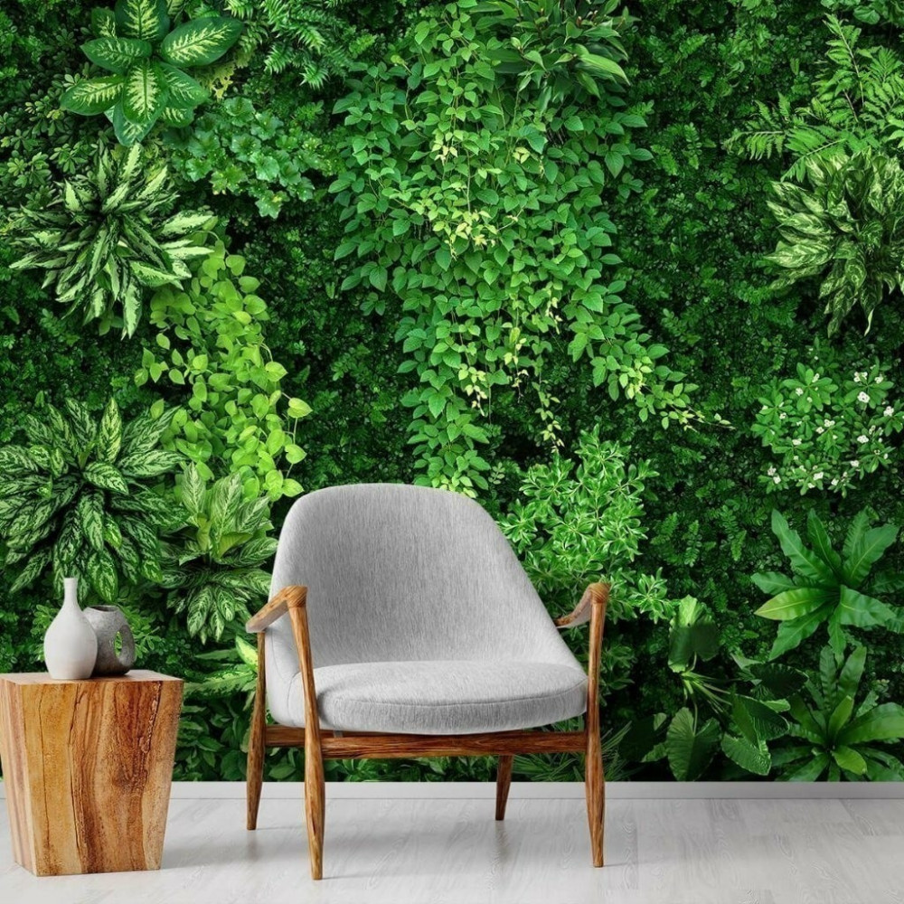 Papel de Parede Personalizado Jardim Vertical Comigo-Ninguém-Pode Papel de Parede Personalizado Jardim Vertical Comigo-Ninguém-Pode