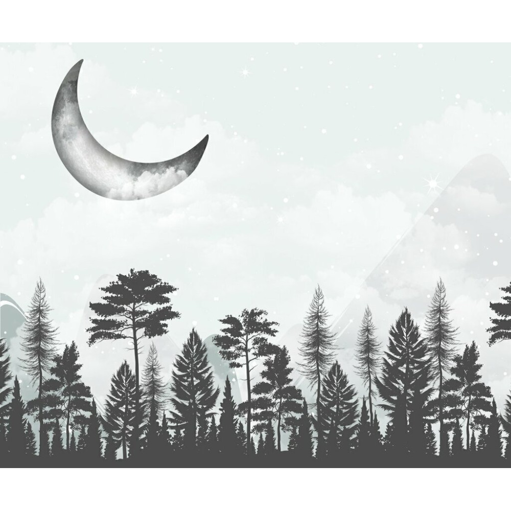 Papel De Parede Personalizado Noite Na Floresta Papel De Parede Personalizado Noite Na Floresta