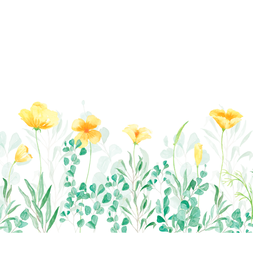 Papel de Parede Personalizado Jardim de Hibisco