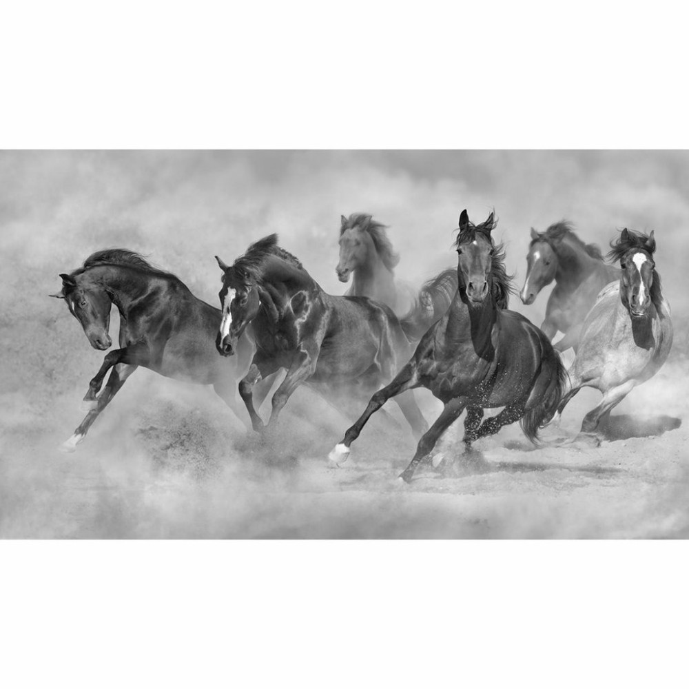 Papel De Parede Personalizado Cavalos Papel De Parede Personalizado Cavalos