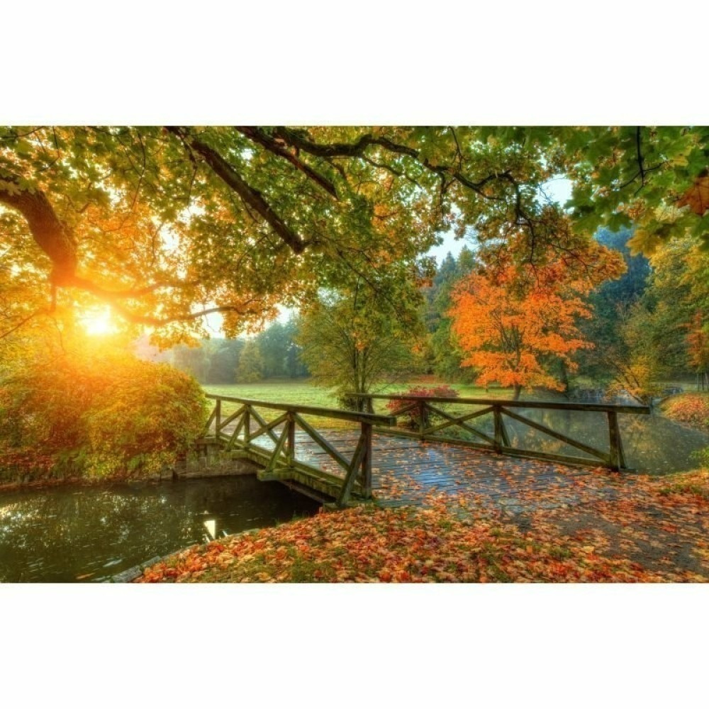 Papel de Parede Personalizado Outono