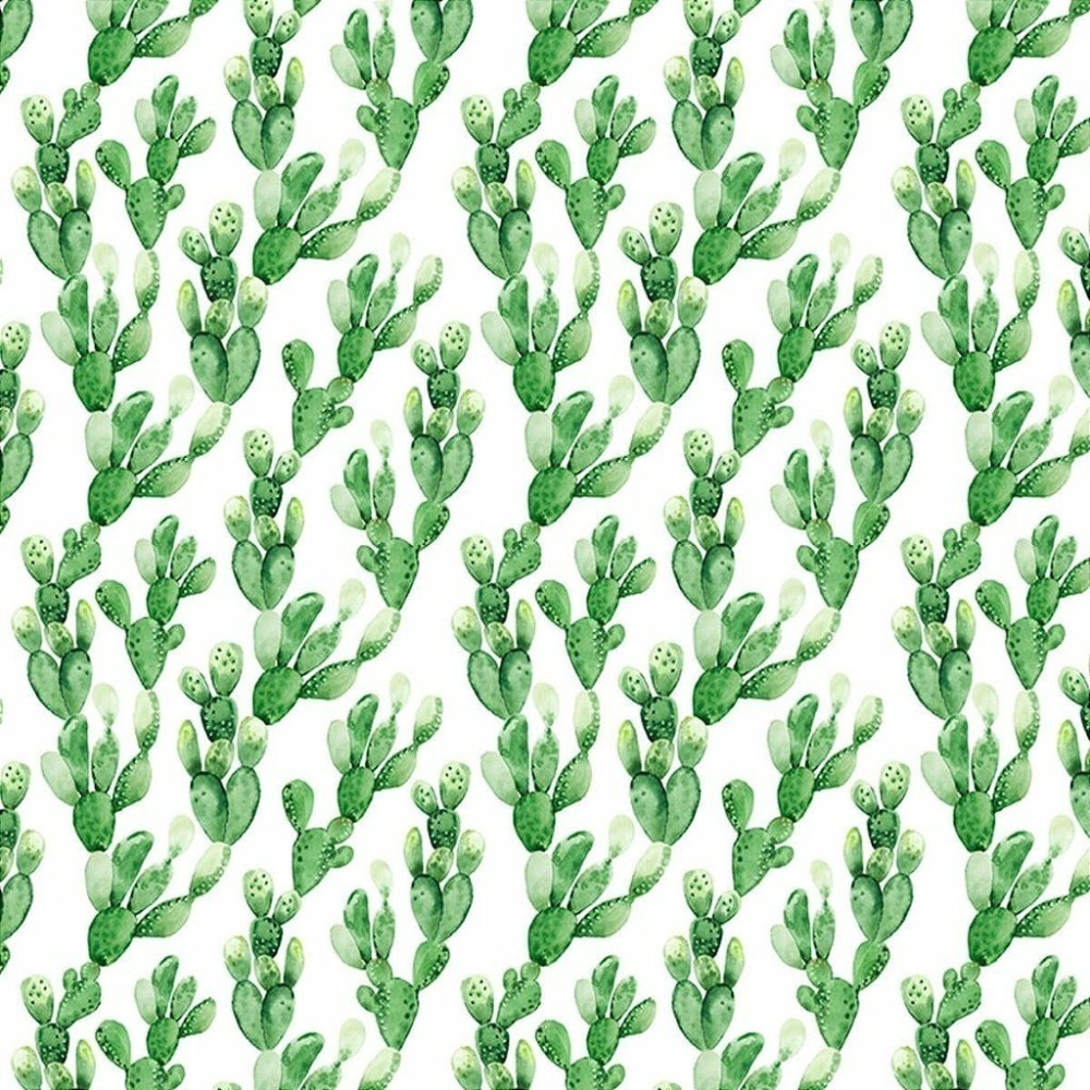 Papel De Parede Personalizado Cactos Aquarela