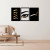 Quadros Designer de Sobrancelhas