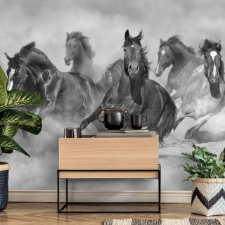 Papel De Parede Personalizado Cavalos