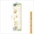 Kit Decorativo Safari Aquarela