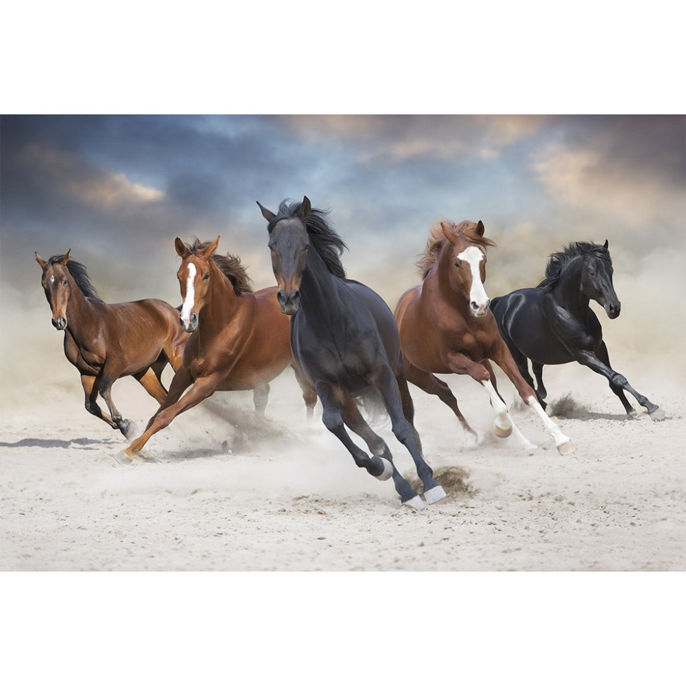 Papel de Parede Personalizado Cavalos Selvagens Papel de Parede Personalizado Cavalos Selvagens