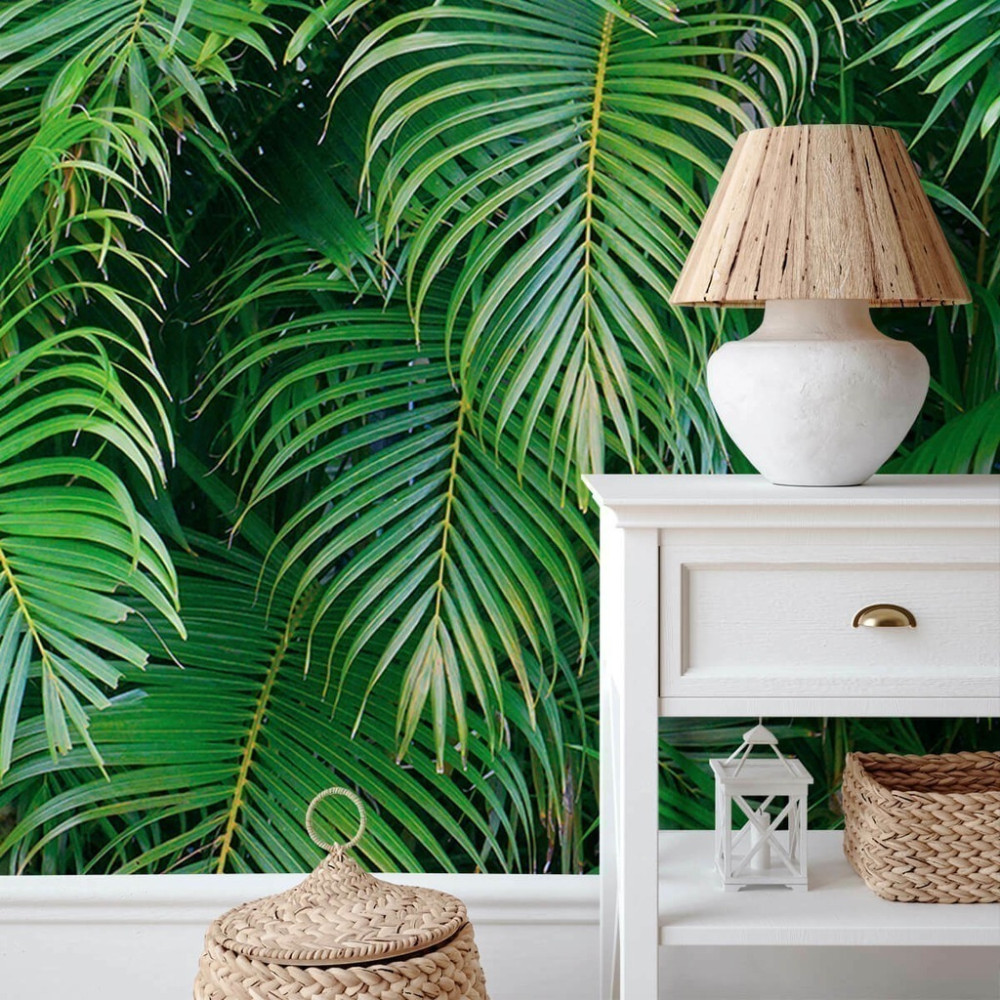 Papel de Parede Personalizado Coqueiro Folhas Grandes Papel de Parede Personalizado Coqueiro Folhas Grandes