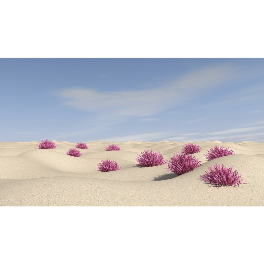 Papel de Parede Personalizado Deserto com Plantas