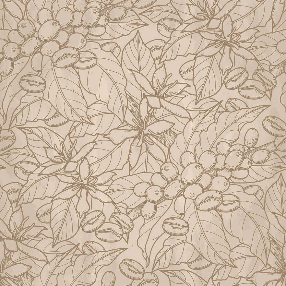 Papel de Parede Personalizado Folhas de Café