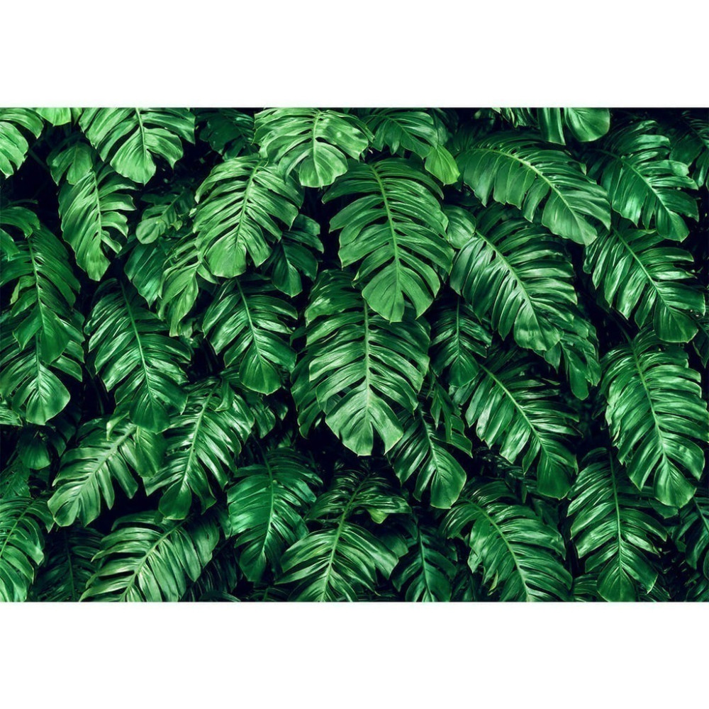 Papel de Parede Personalizado Costela de Adão Green