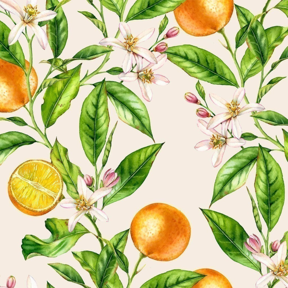 Papel de Parede Personalizado Laranjas Aquarela Papel de Parede Personalizado Laranjas Aquarela