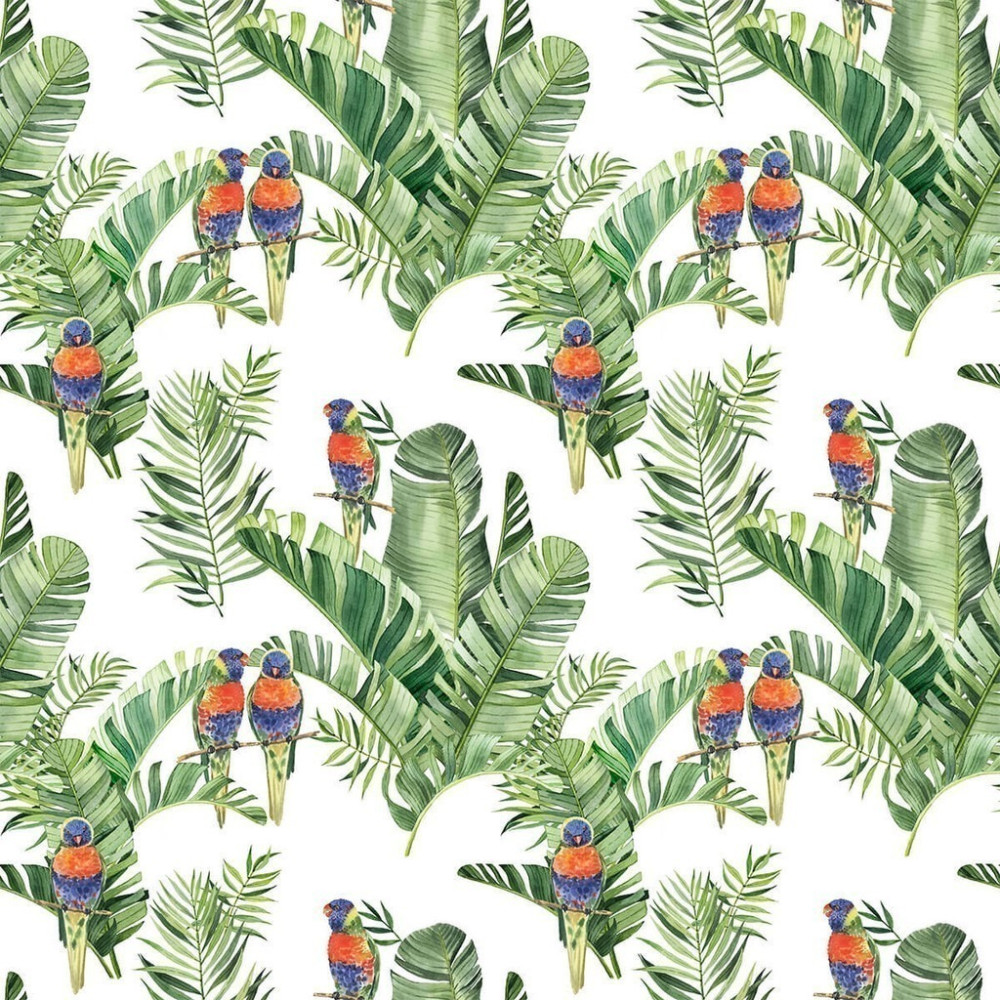 Papel de Parede Personalizado Araras e Folhas Papel de Parede Personalizado Araras e Folhas