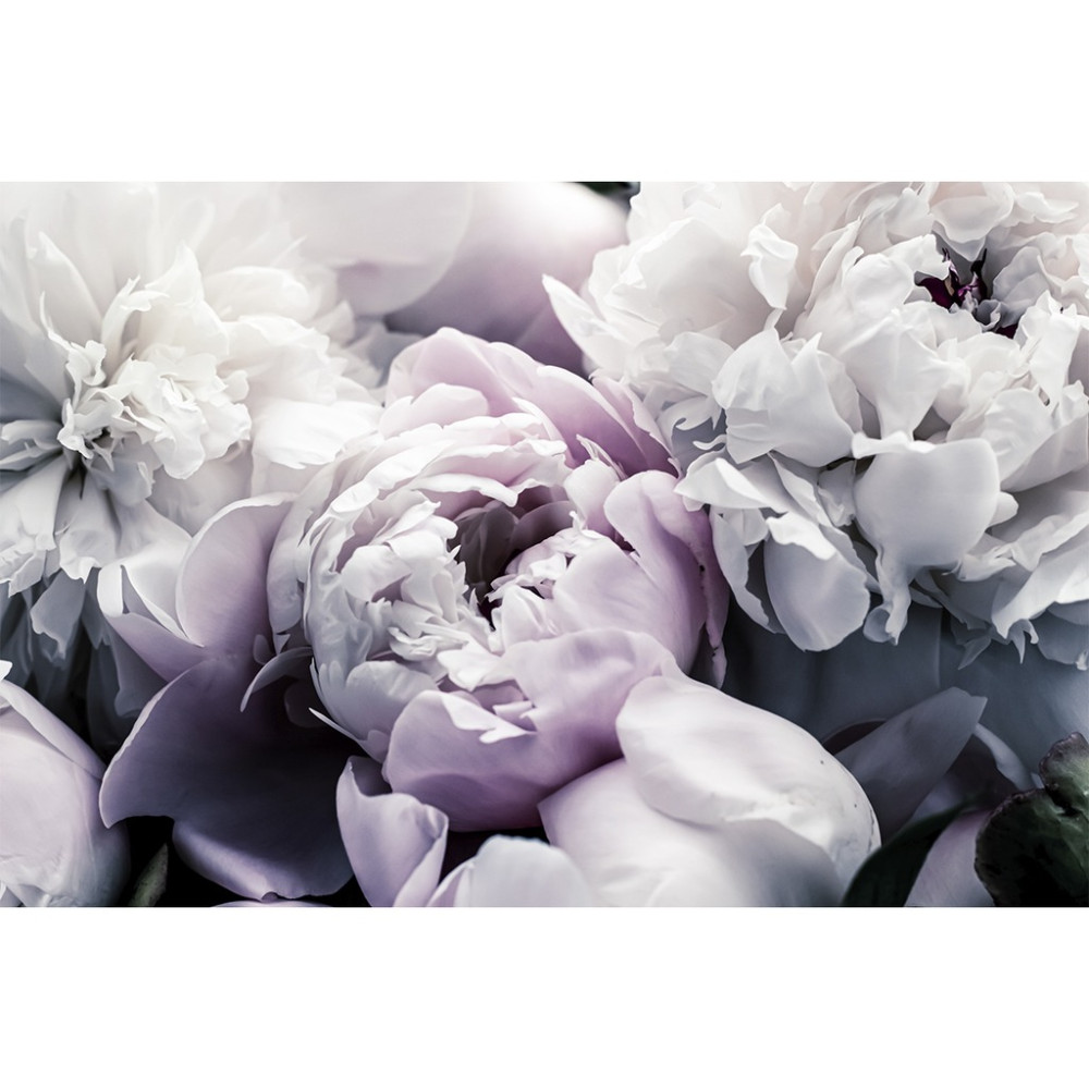 Papel de Parede Personalizado Rosas com Toque de Classe Papel de Parede Personalizado Rosas com Toque de Classe