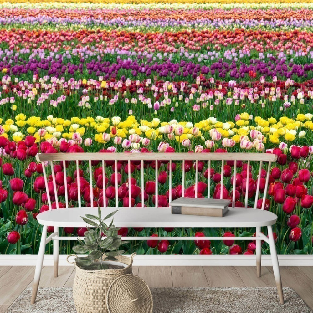 Papel de Parede Personalizado Tulipas Colors