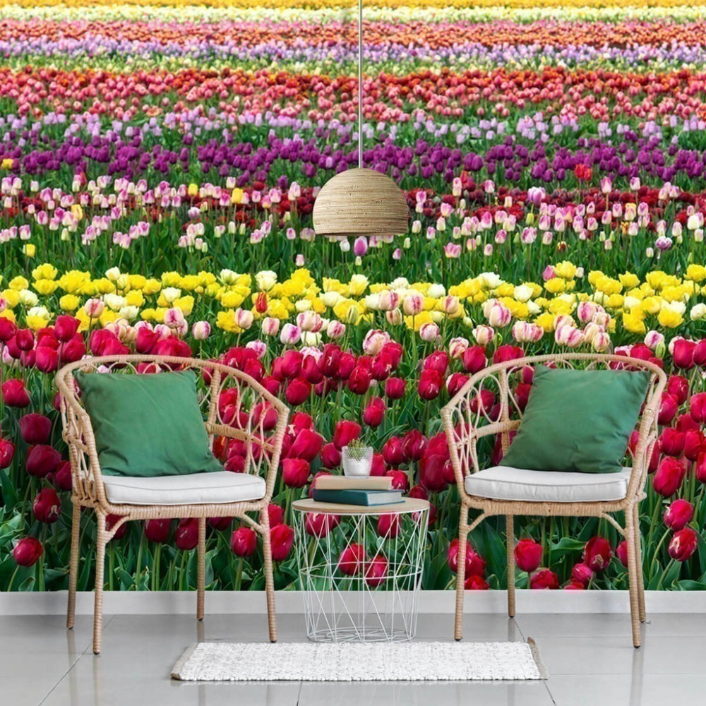 Papel de Parede Personalizado Tulipas Colors