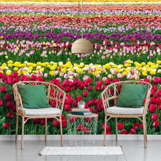 Papel de Parede Personalizado Tulipas Colors