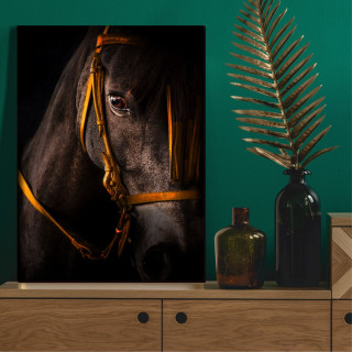 Quadro Decorativo Retrato Cavalo Elegante